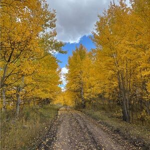 Meet your Posher, Chloe